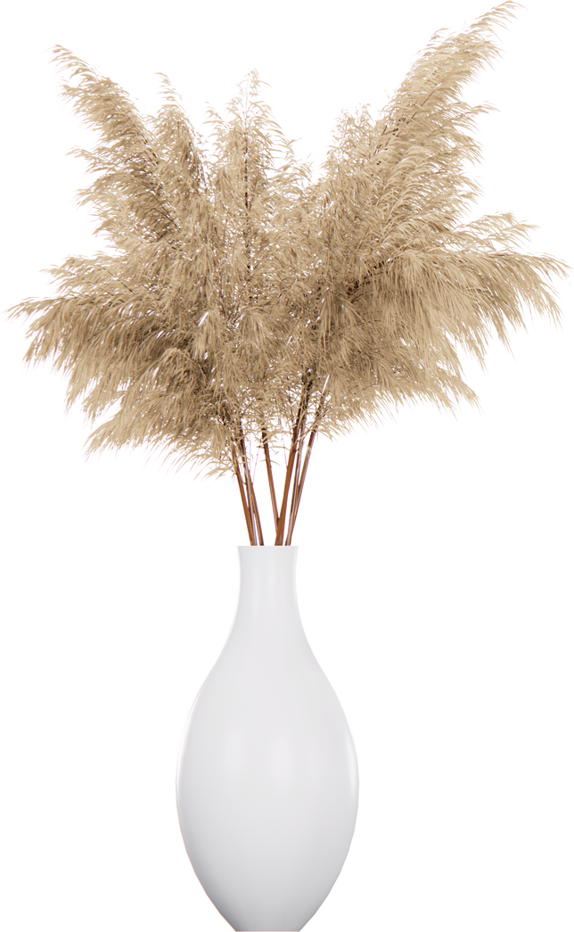 Pampa grass in pot cutout